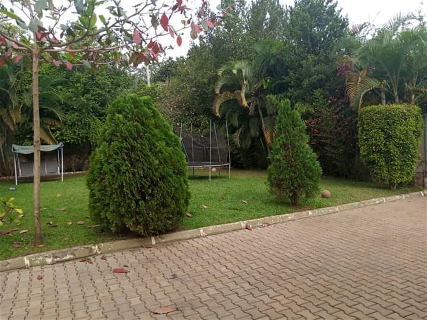 Bungalow for sale in Kiwaatule Kampala