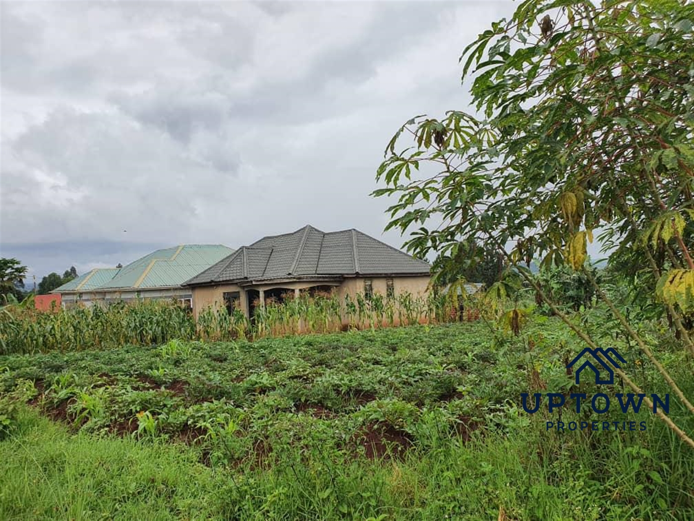 Residential Land for sale in Mukonocenter Mukono