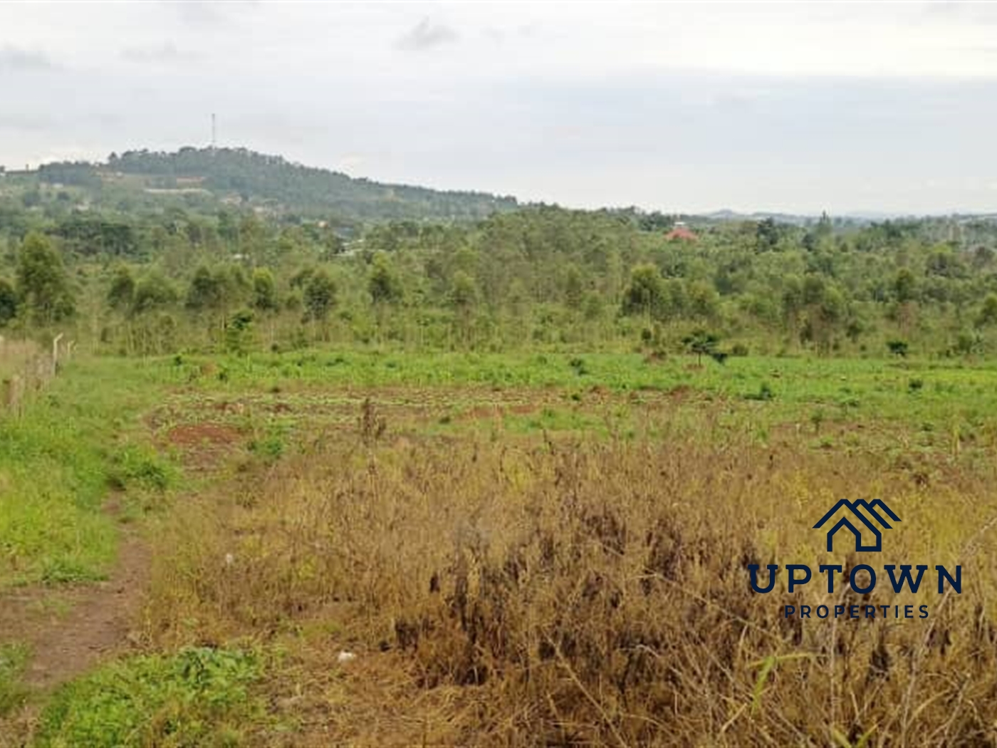 Multipurpose Land for sale in Bukeelele Mukono