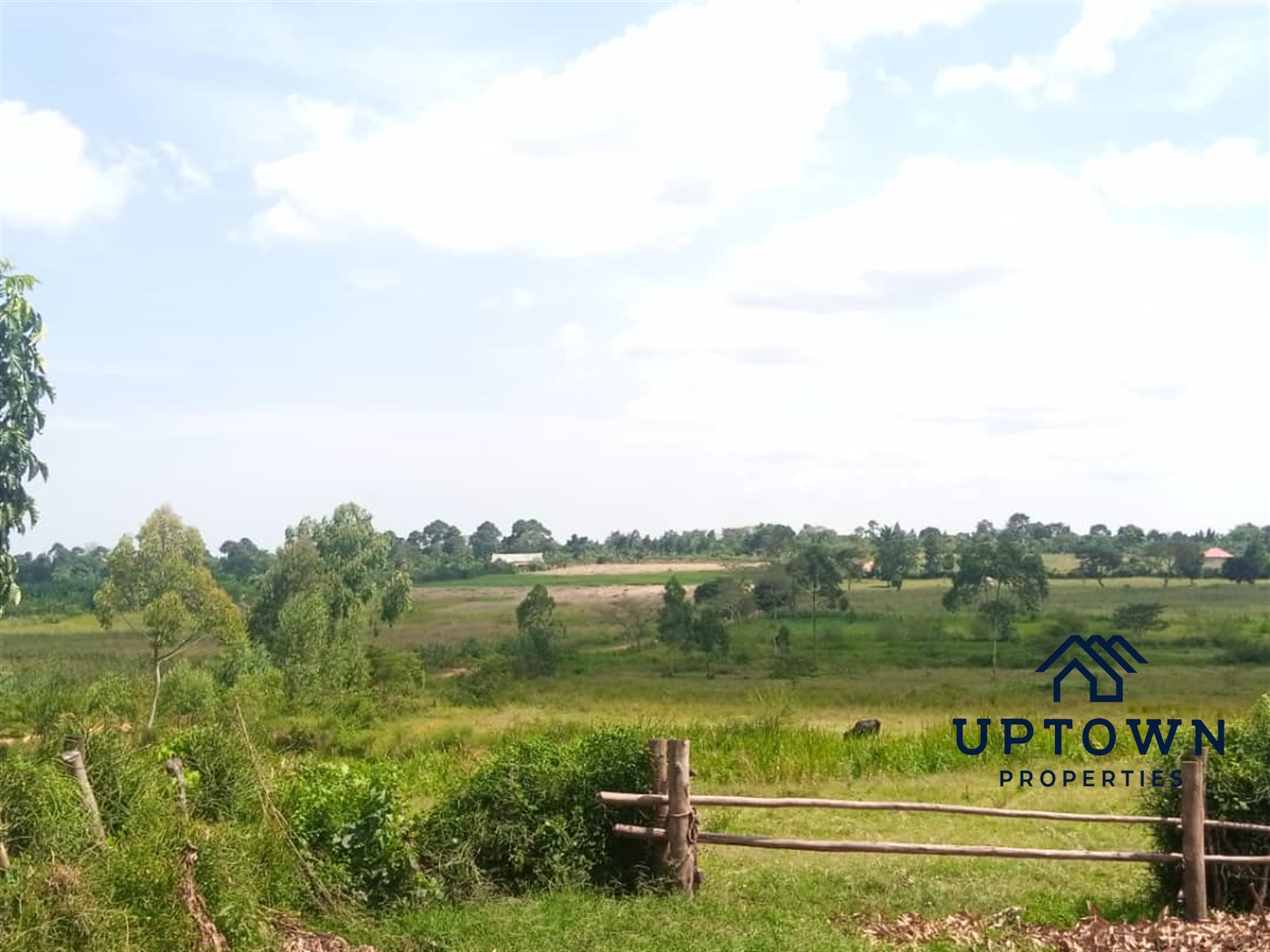 Residential Land for sale in Ziloobwe Luweero