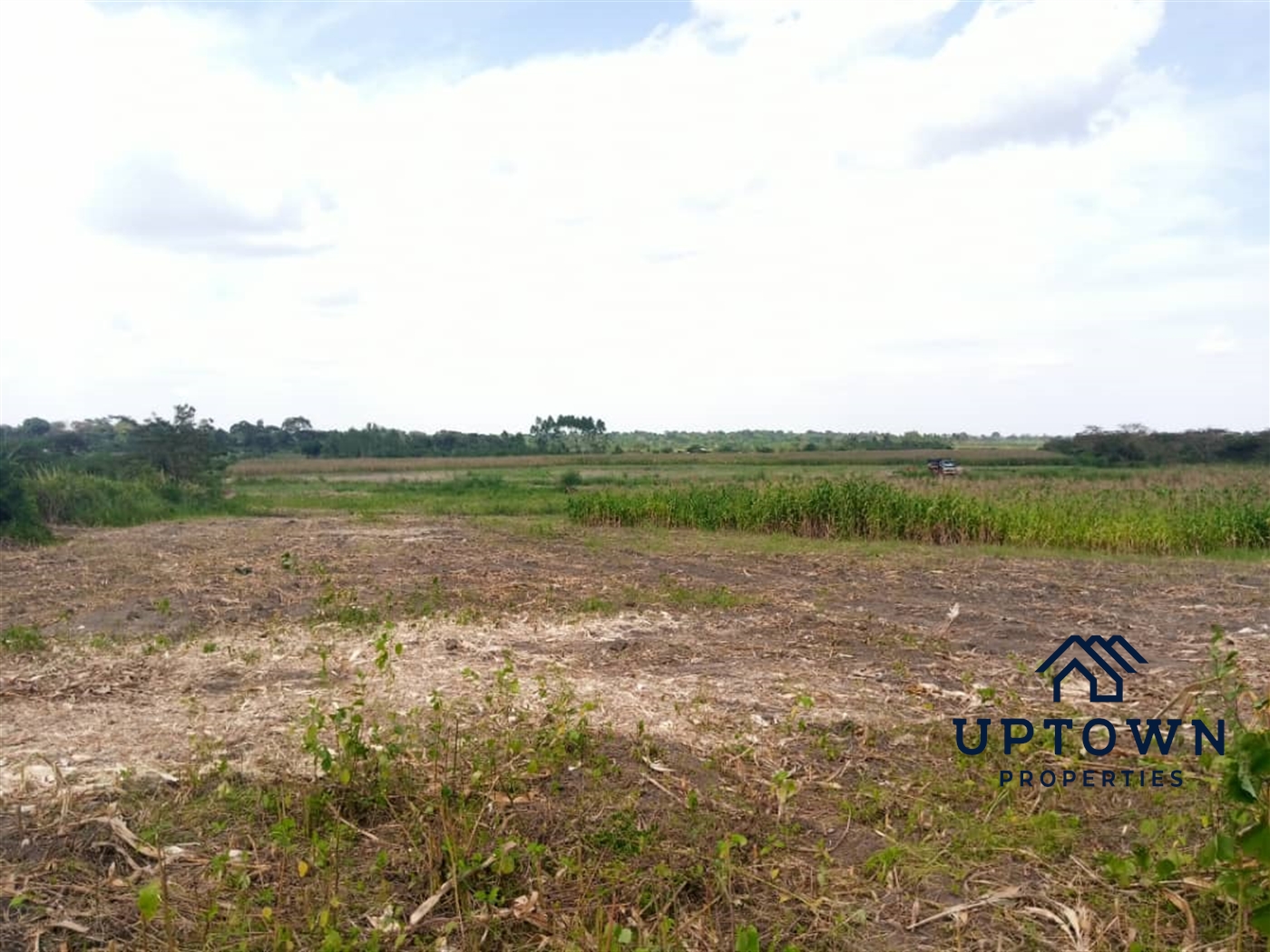 Residential Land for sale in Ziloobwe Luweero