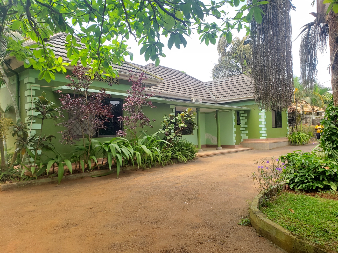 Bungalow for rent in Entebbe Wakiso