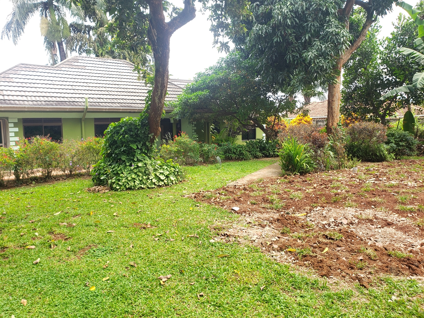 Bungalow for rent in Entebbe Wakiso