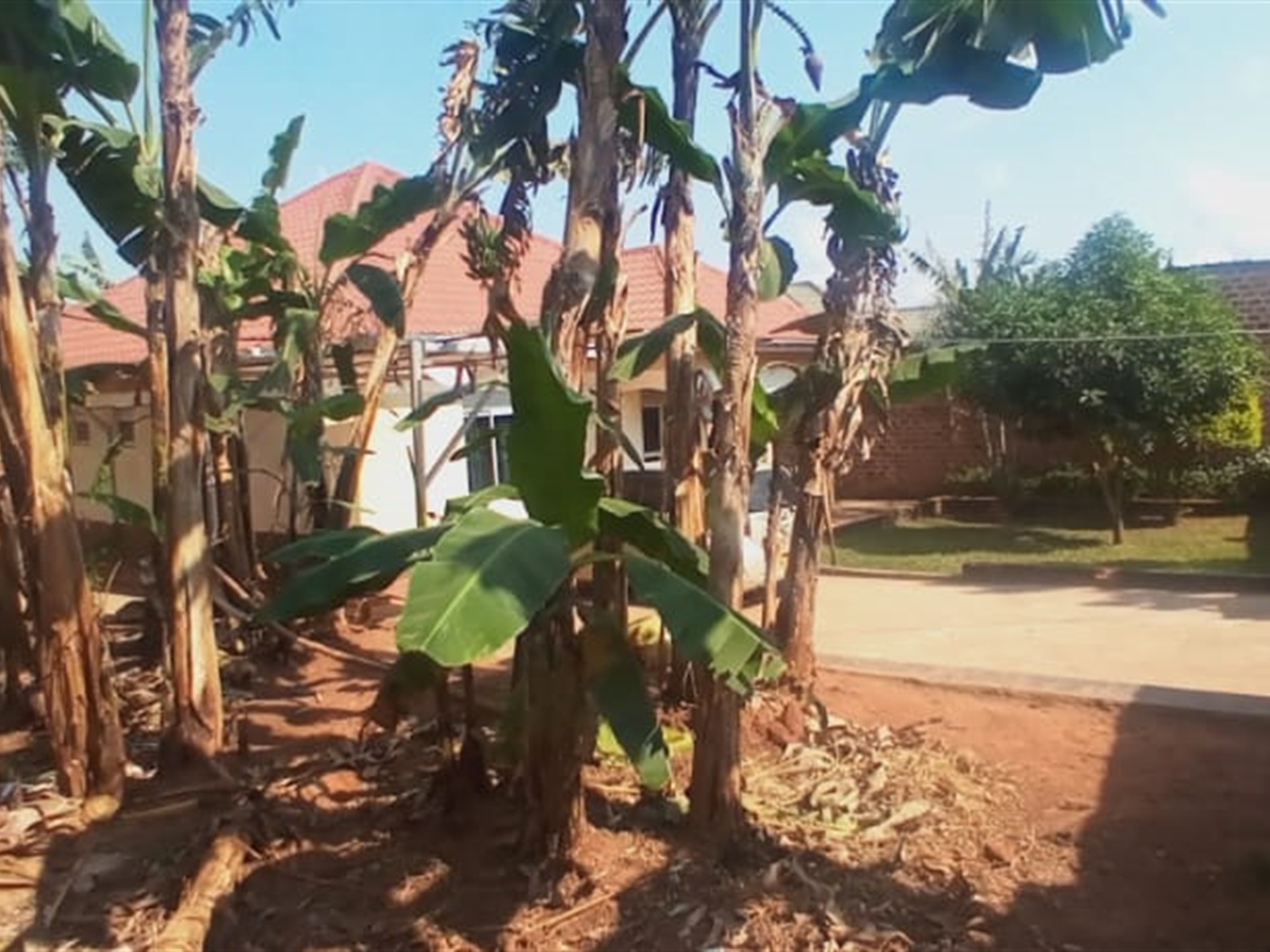 Bungalow for sale in Gayaza Wakiso