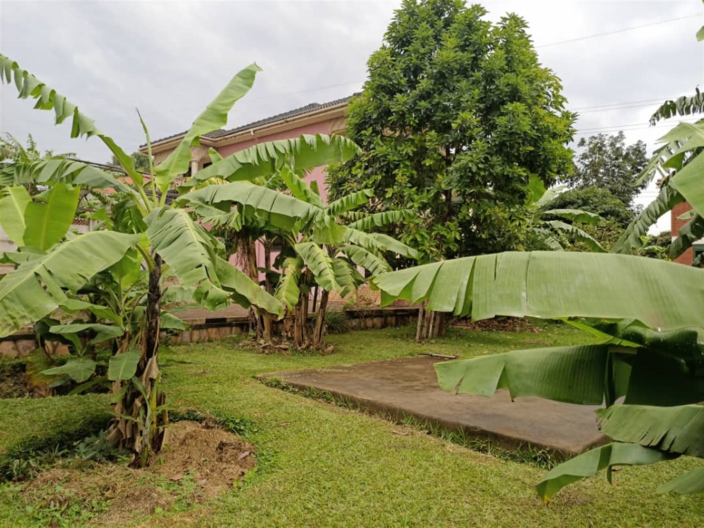 Storeyed house for sale in Ntinda Kampala