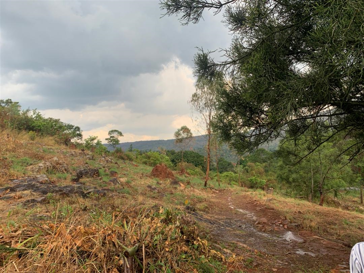 Multipurpose Land for sale in Nakaseeta Kiboga