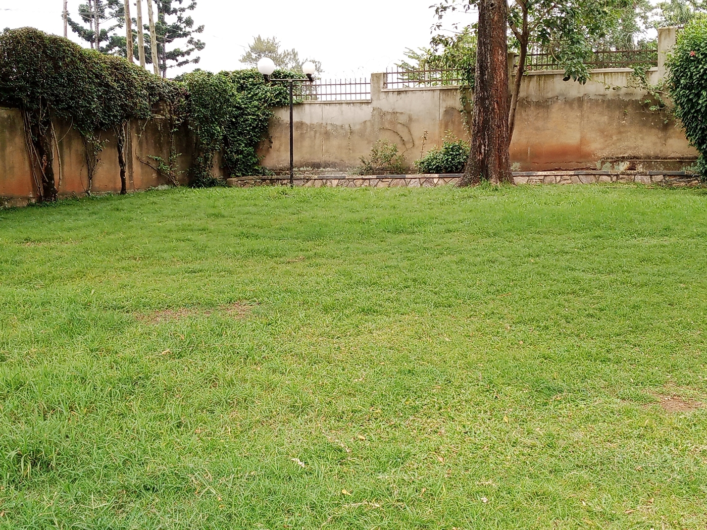 Duplex for rent in Naguru Kampala