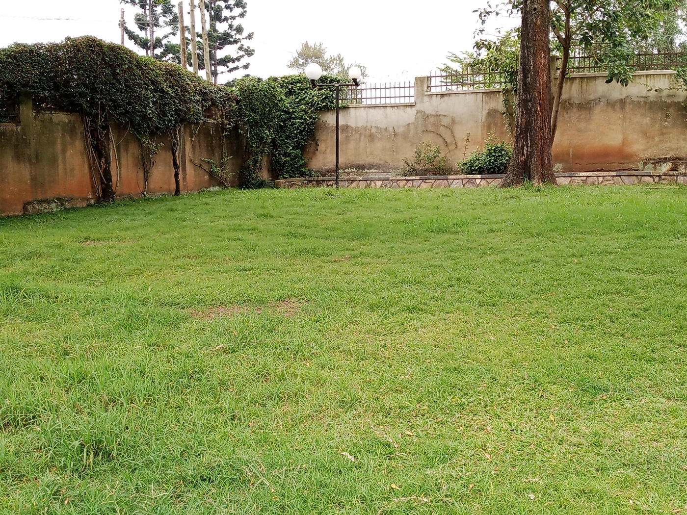 Duplex for rent in Naguru Kampala