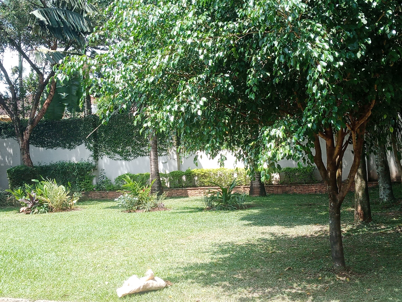 Bungalow for sale in Naguru Kampala