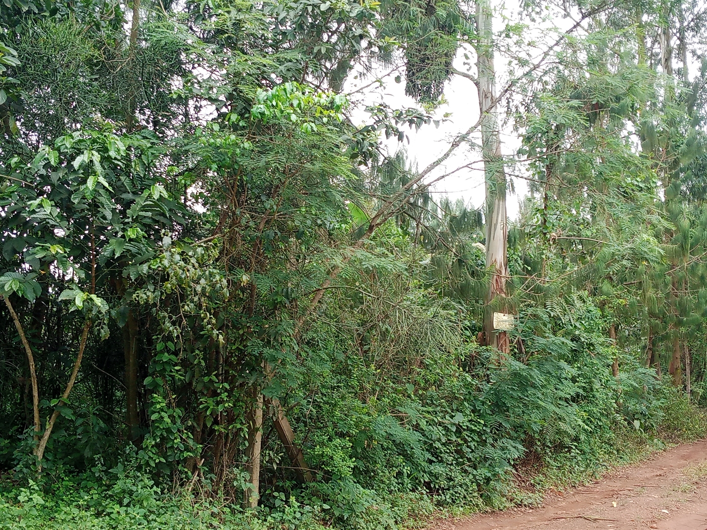 Residential Land for sale in Muyomba Wakiso