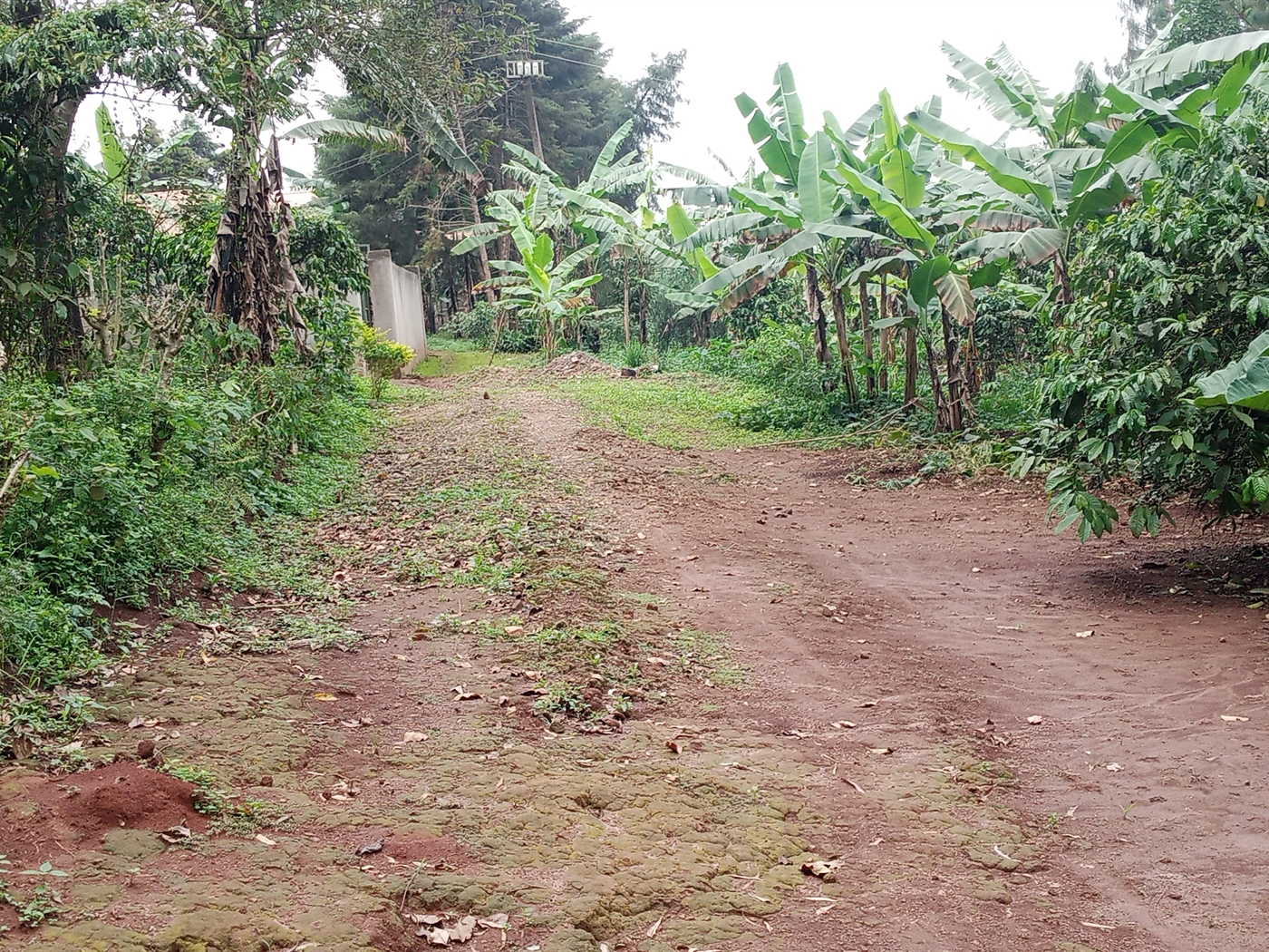 Residential Land for sale in Muyomba Wakiso