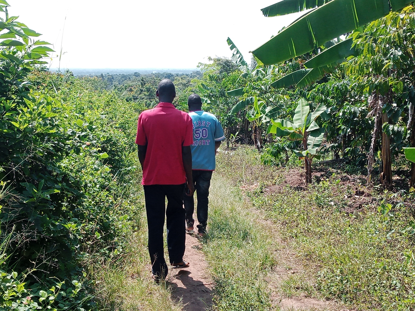 Agricultural Land for sale in Ziloobwe Luweero