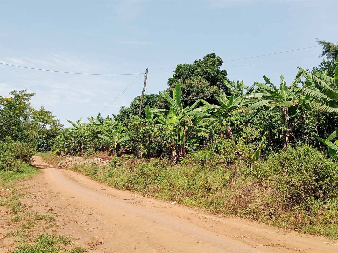 Agricultural Land for sale in Ziloobwe Luweero