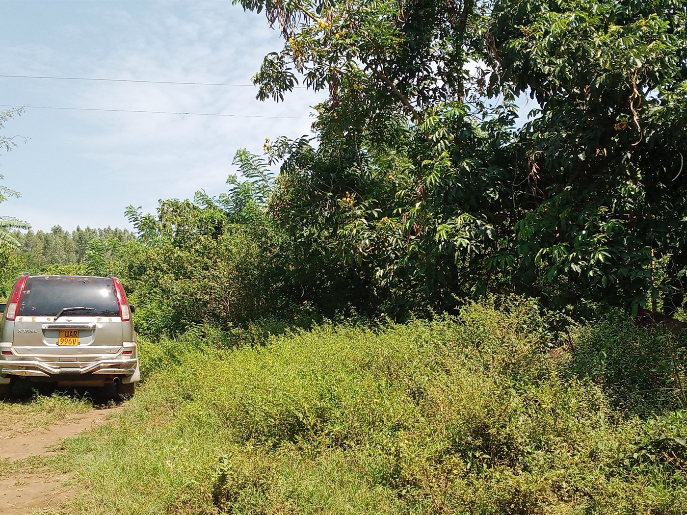 Agricultural Land for sale in Ziloobwe Luweero