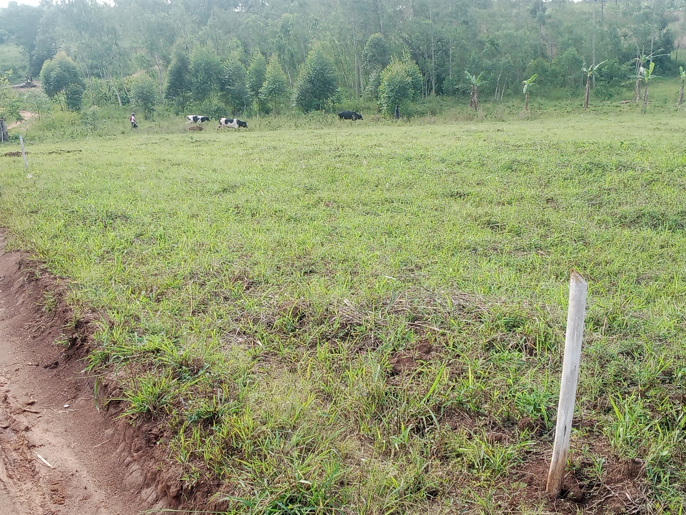 Residential Land for sale in Busiika Luweero