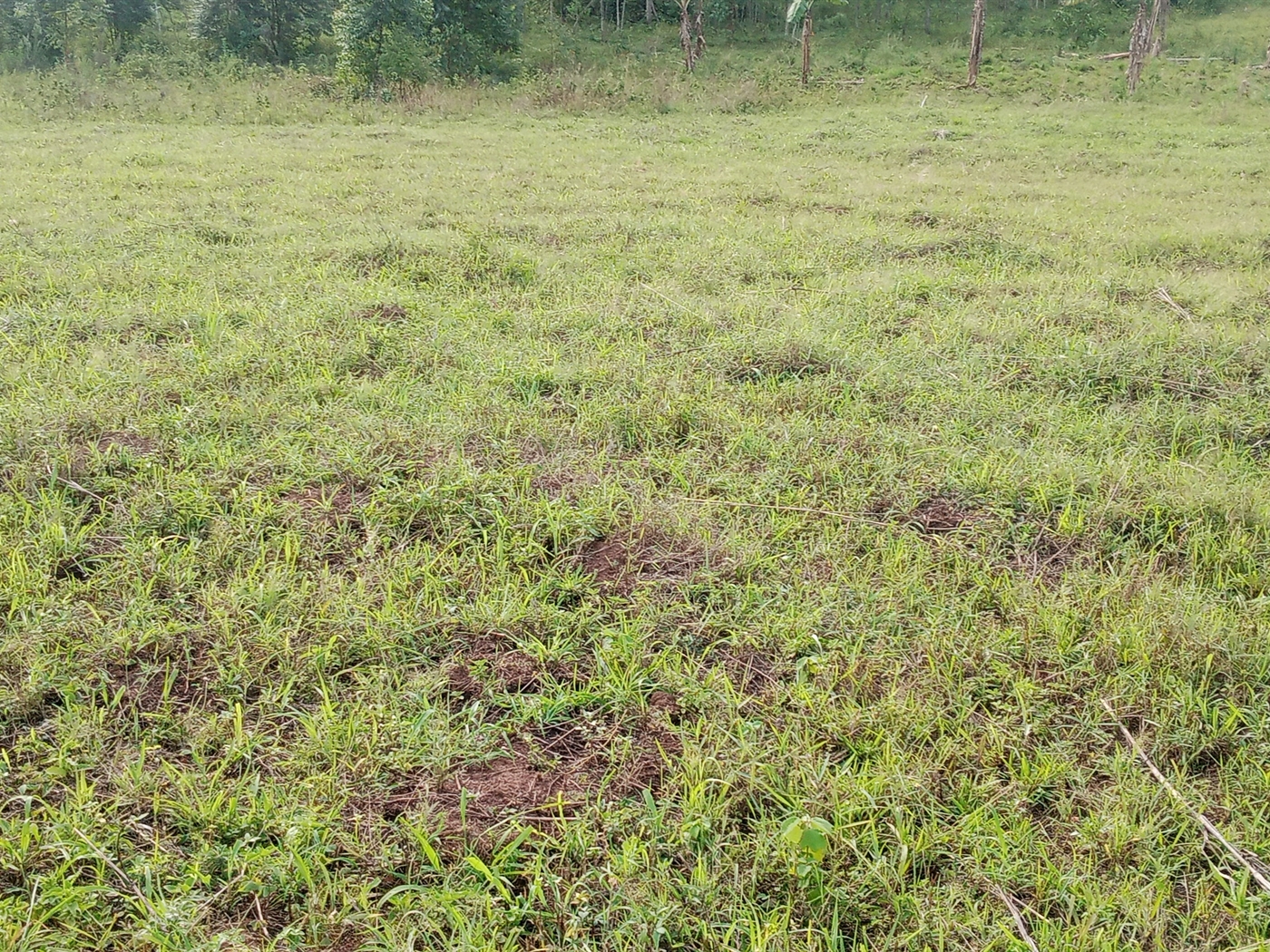 Residential Land for sale in Busiika Luweero