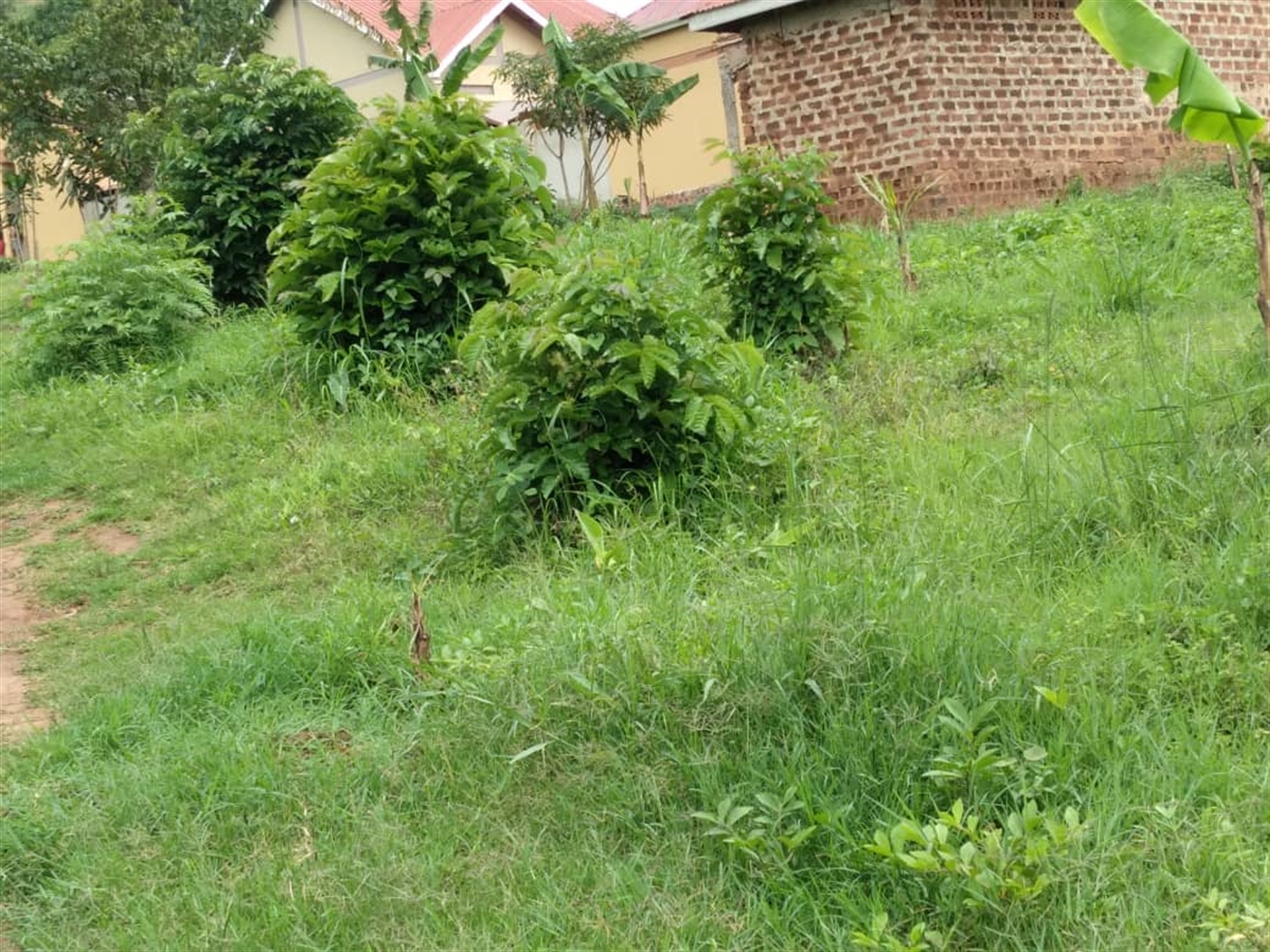 Commercial Land for sale in Kungu Wakiso