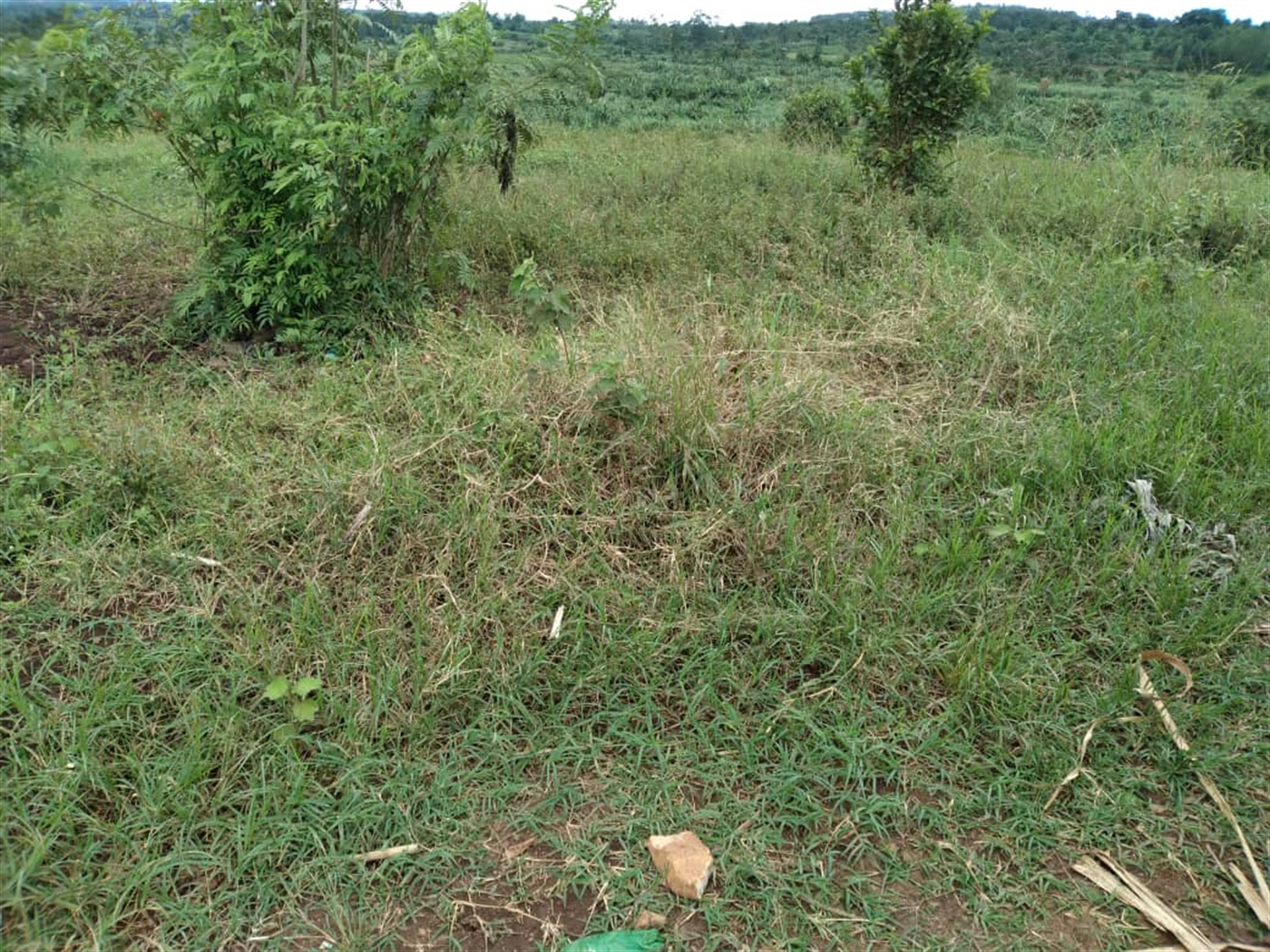 Residential Land for sale in Gayaza Wakiso