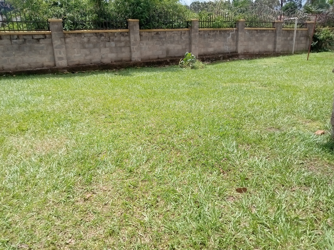 Bungalow for rent in Najjera Wakiso