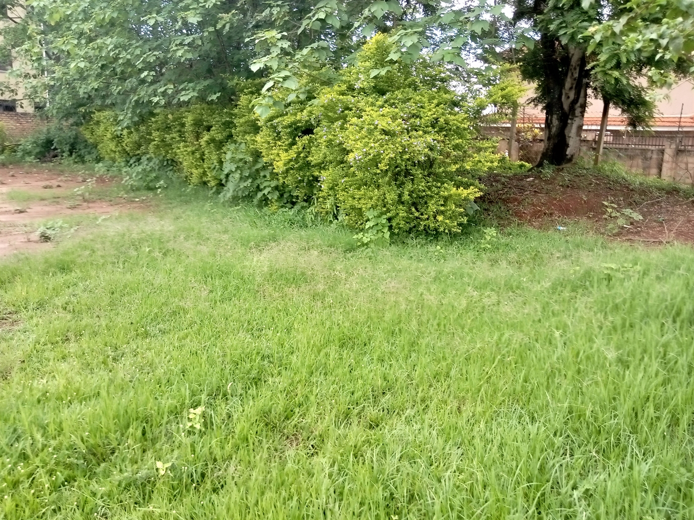 Residential Land for sale in Kiwaatule Kampala