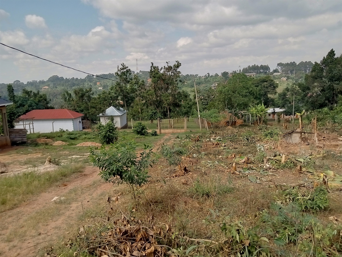 Agricultural Land for sale in Namulonge Wakiso