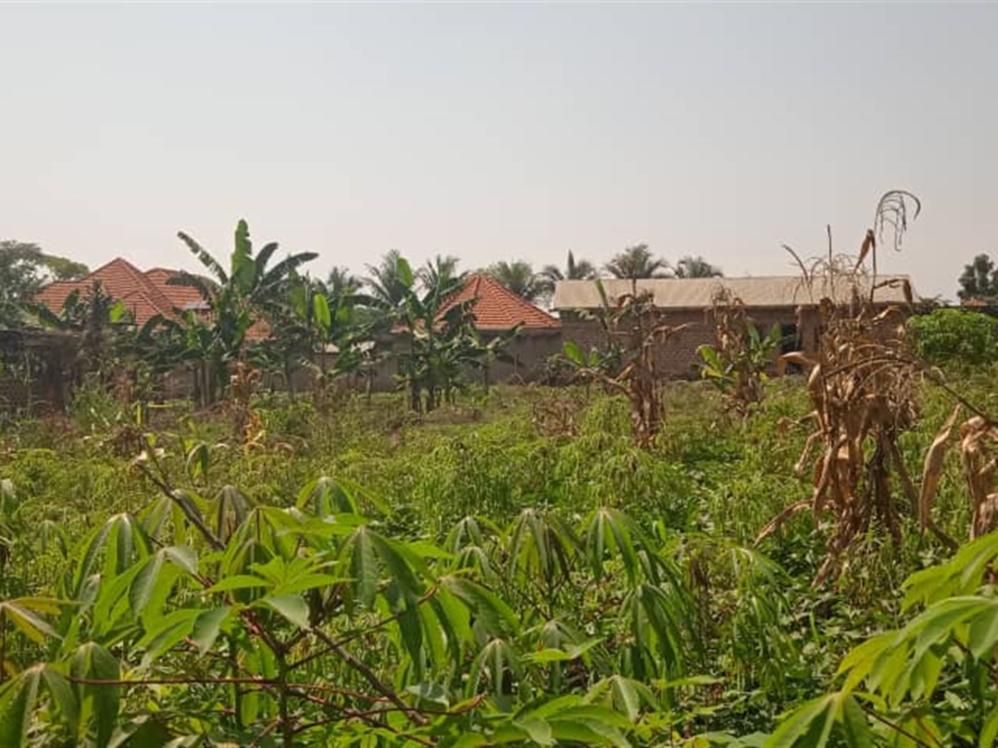 Agricultural Land for sale in Ziloobwe Wakiso