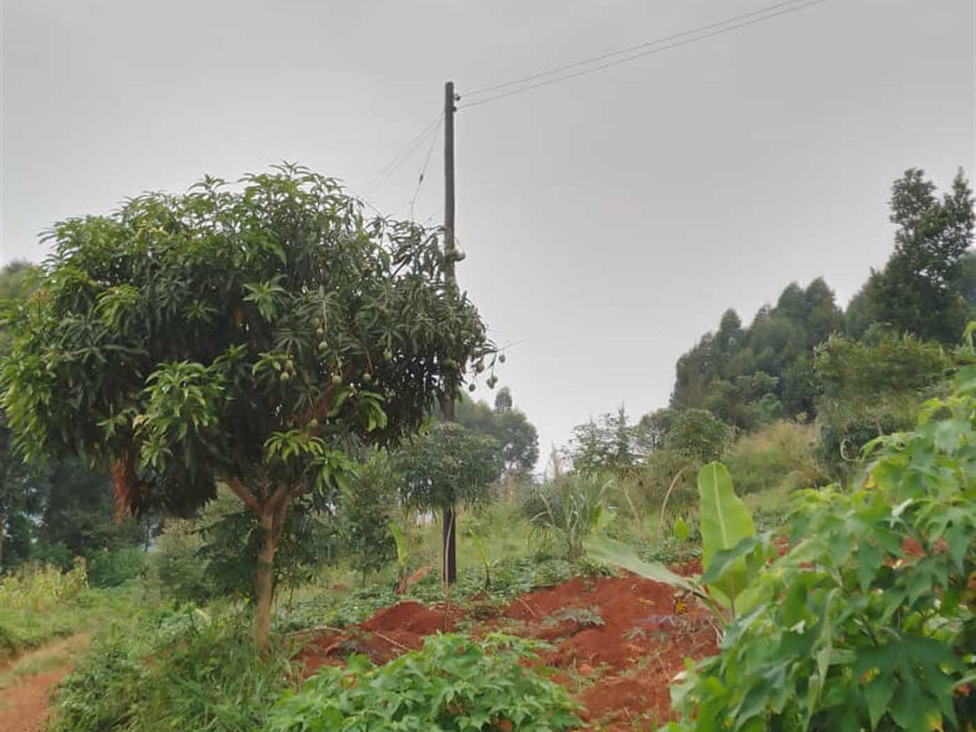 Residential Land for sale in Wabitungulu Kampala
