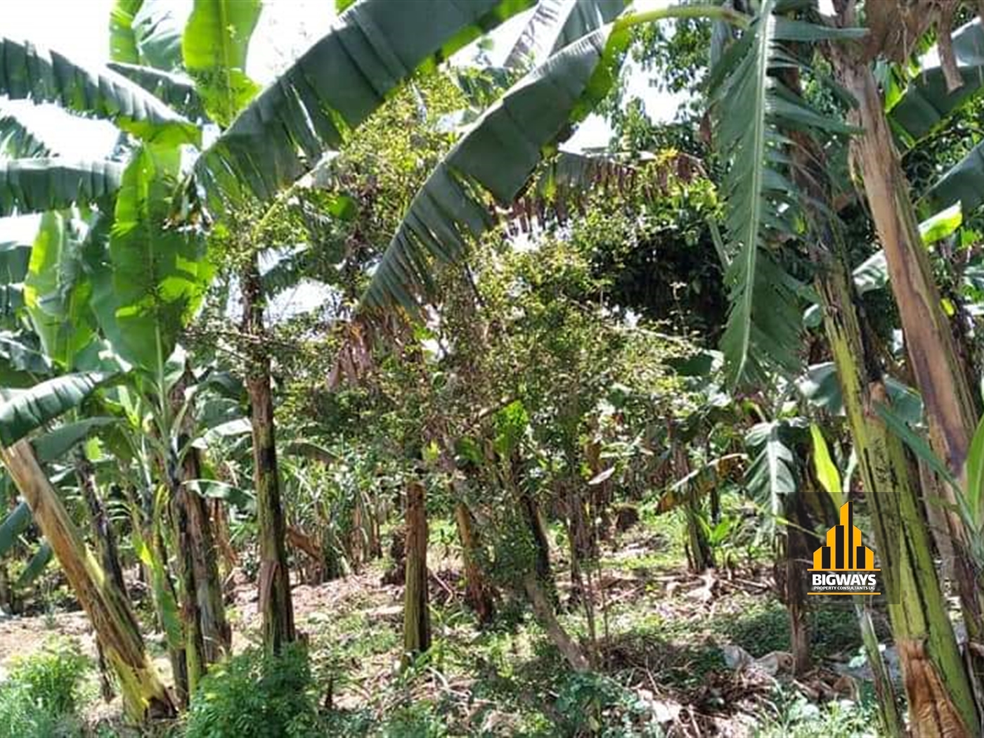 Bungalow for sale in Bujuuko Mpigi