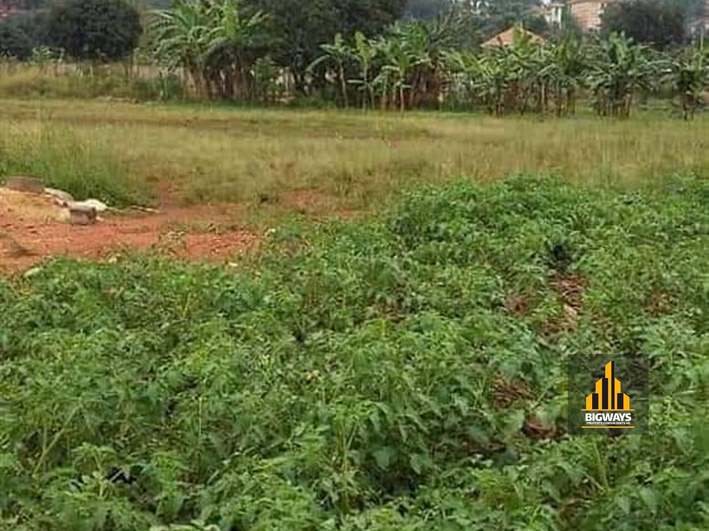 Residential Land for sale in Munyonyo Kampala