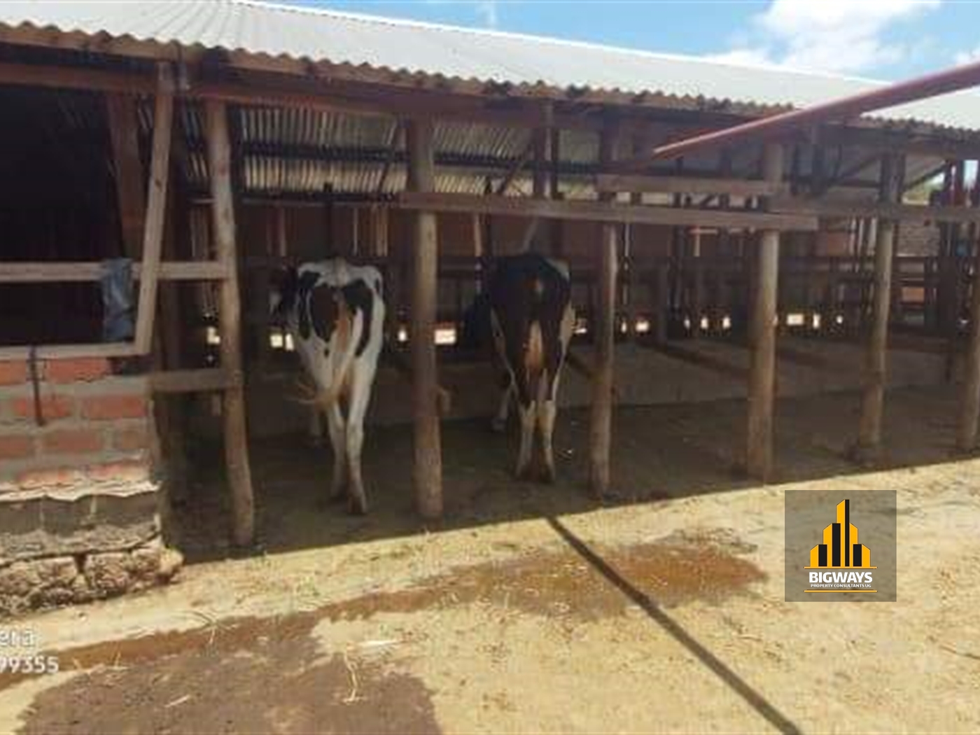 Farm for sale in Busiika Luweero