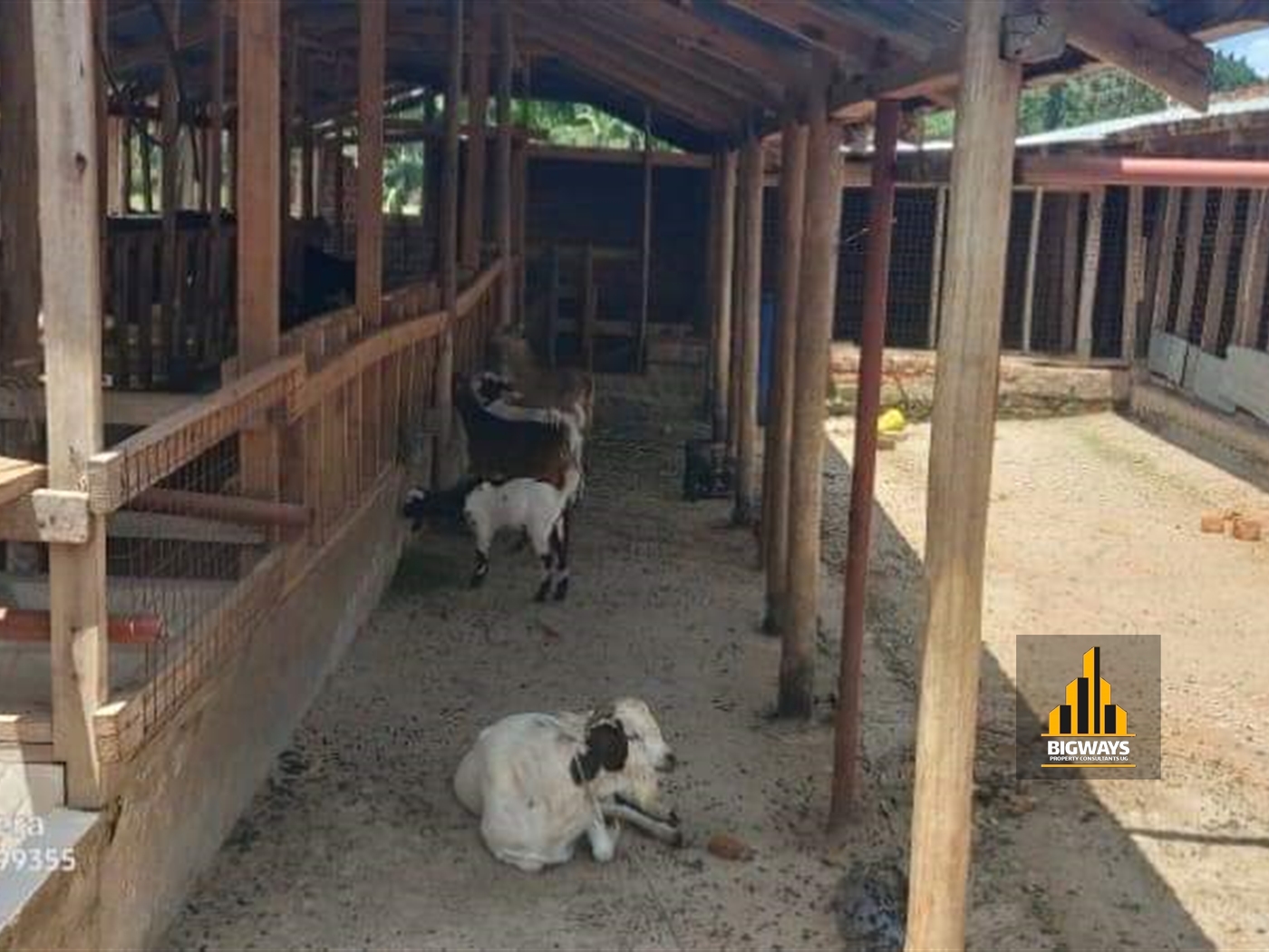 Farm for sale in Busiika Luweero