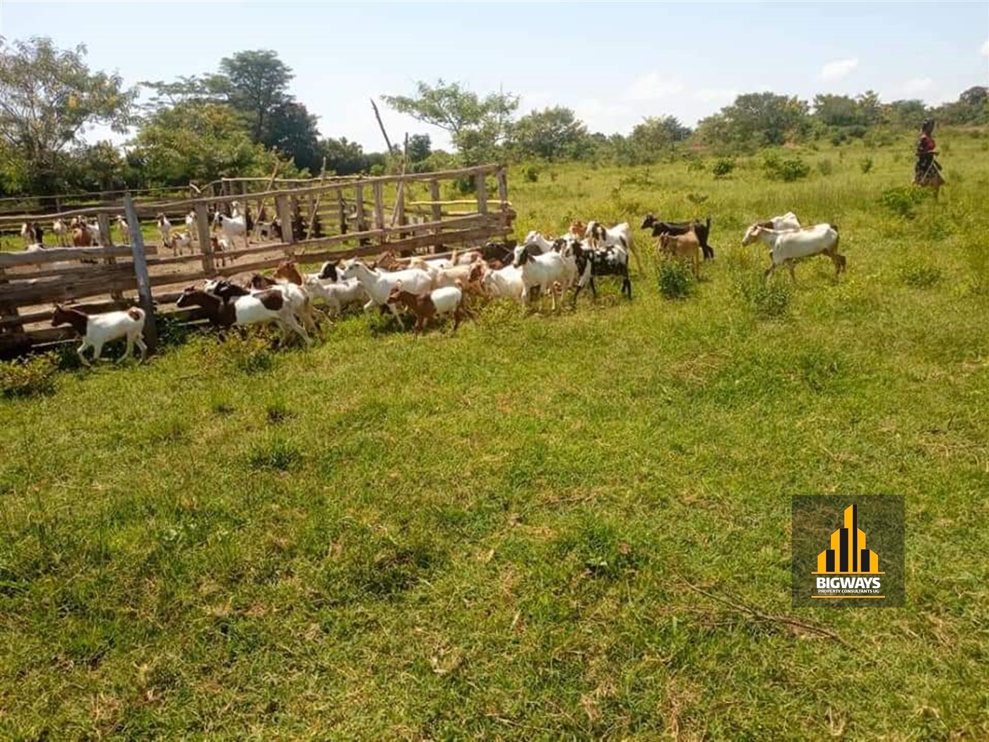 Agricultural Land for sale in Kikyuusa Luwero