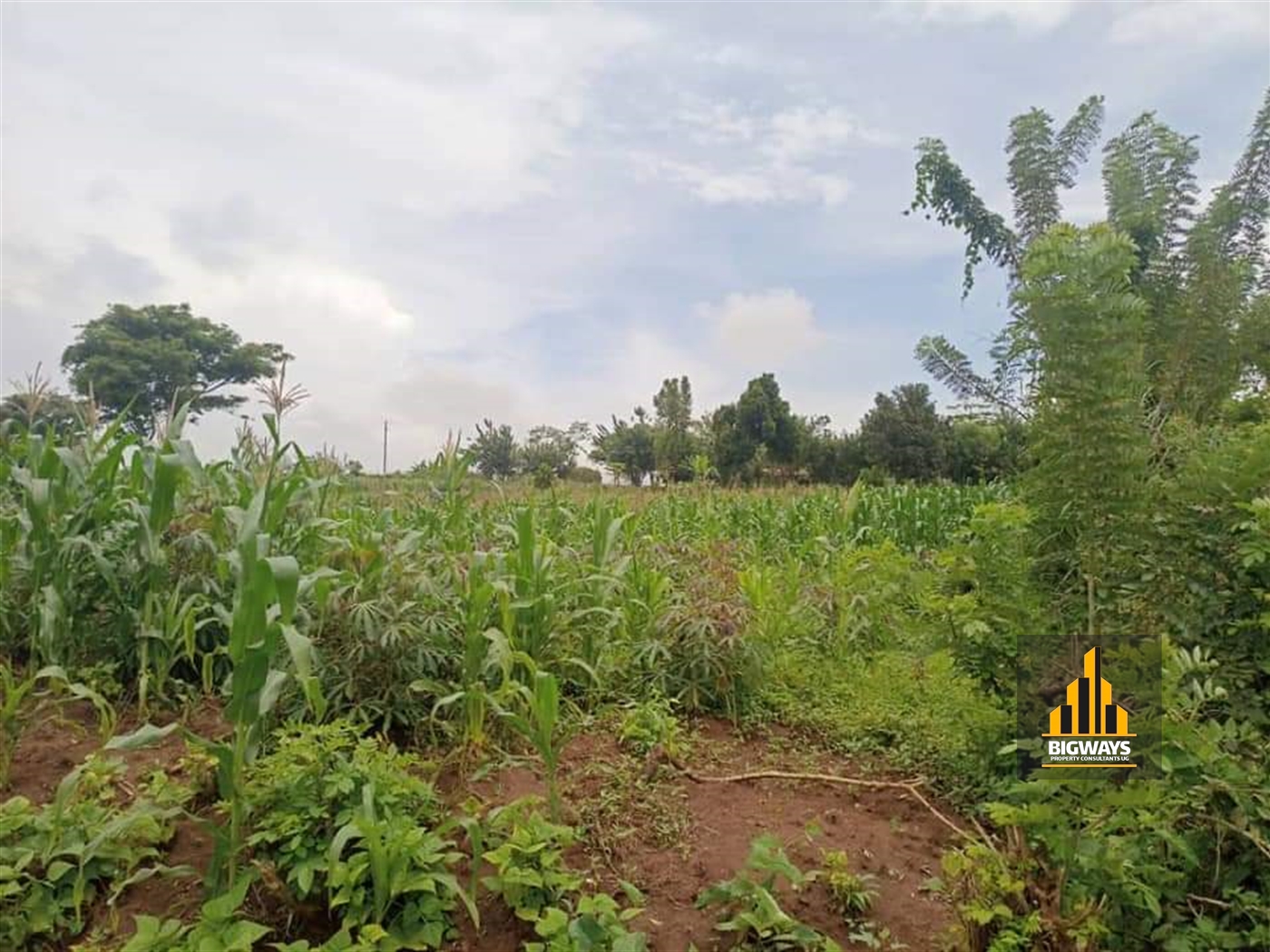 Residential Land for sale in Lubowa Wakiso