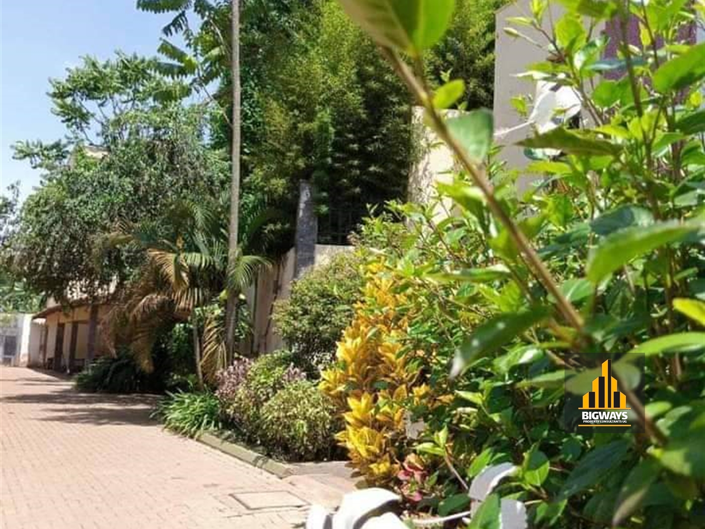 Villa for rent in Mbuya Kampala