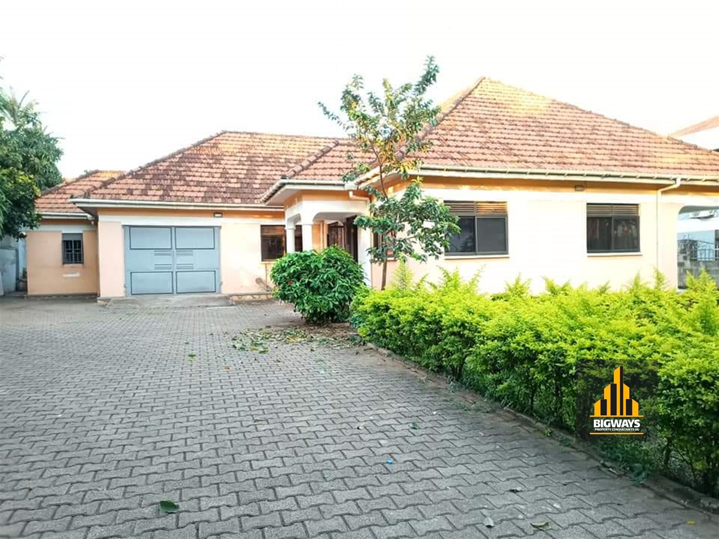 Bungalow for rent in Naguru Kampala