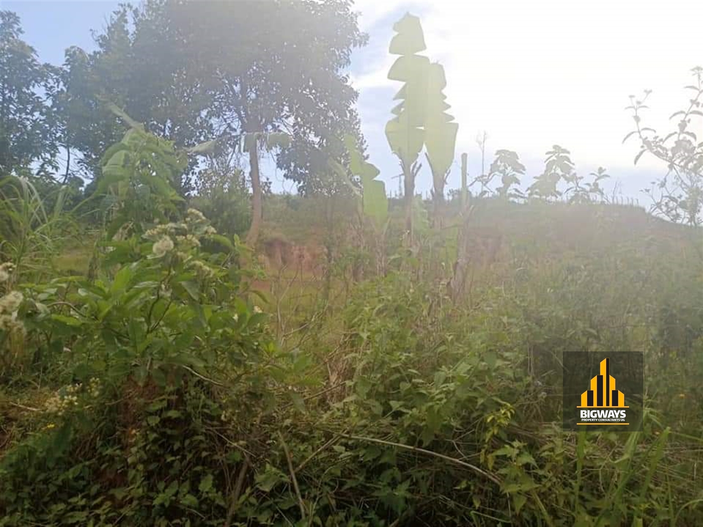 Residential Land for sale in Mutundwe Kampala