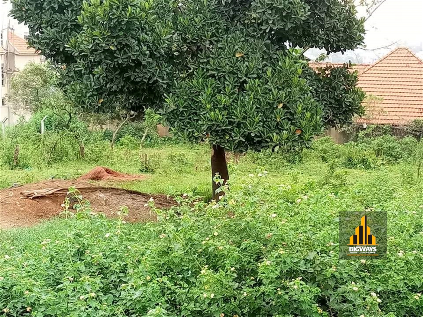 Residential Land for sale in Naalya Wakiso