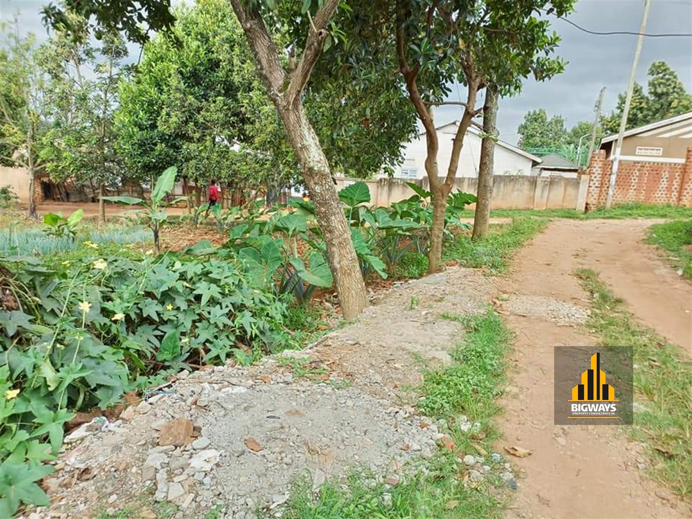 Residential Land for sale in Bukoto Kampala