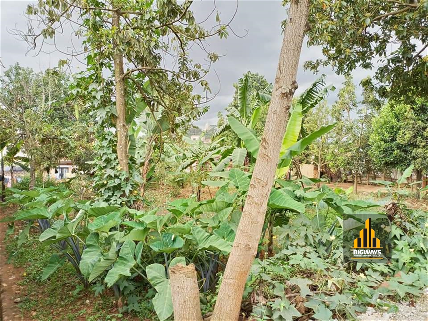 Residential Land for sale in Bukoto Kampala