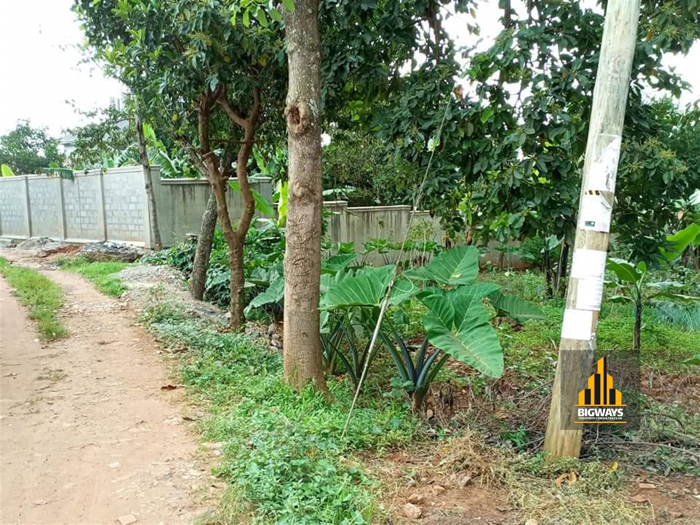 Residential Land for sale in Bukoto Kampala