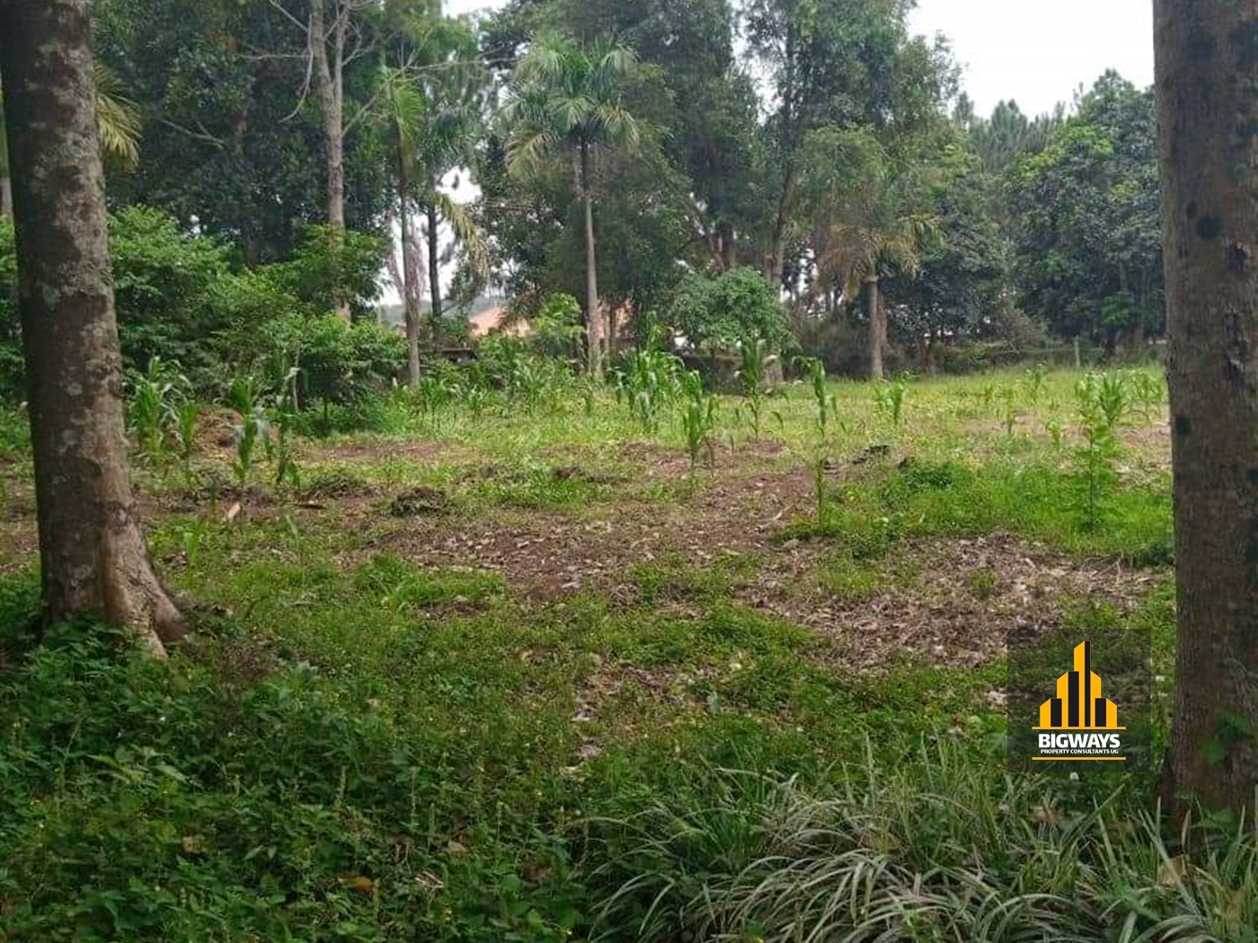 Residential Land for sale in Garuga Wakiso