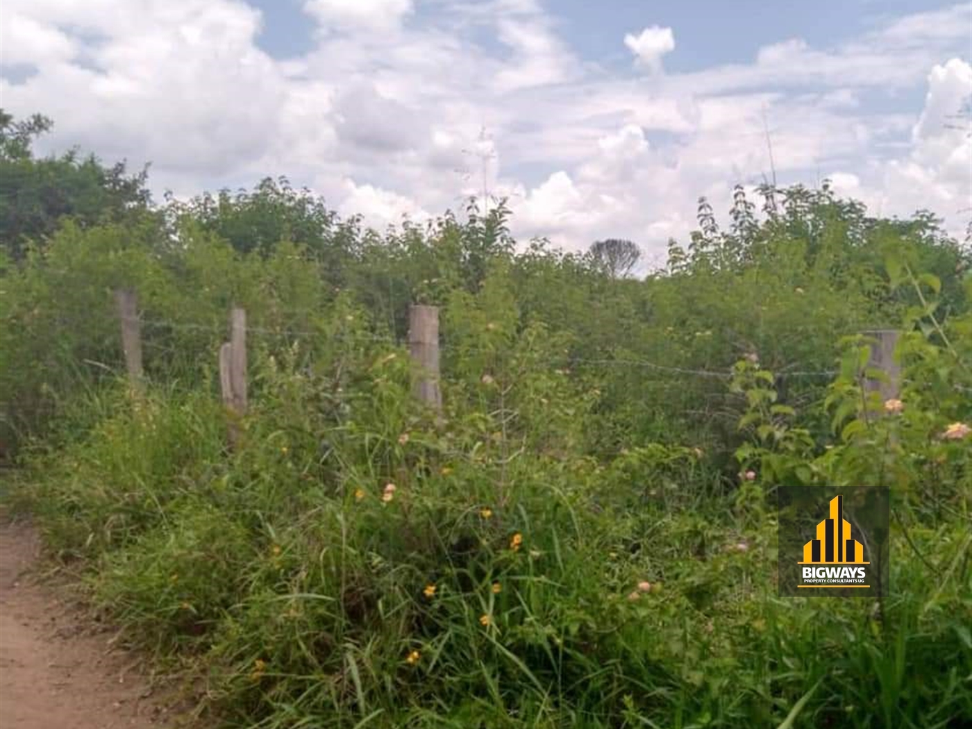 Agricultural Land for sale in Butalangu Nakaseke