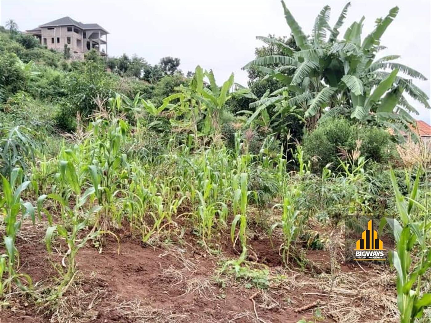 Residential Land for sale in Namulanda Wakiso