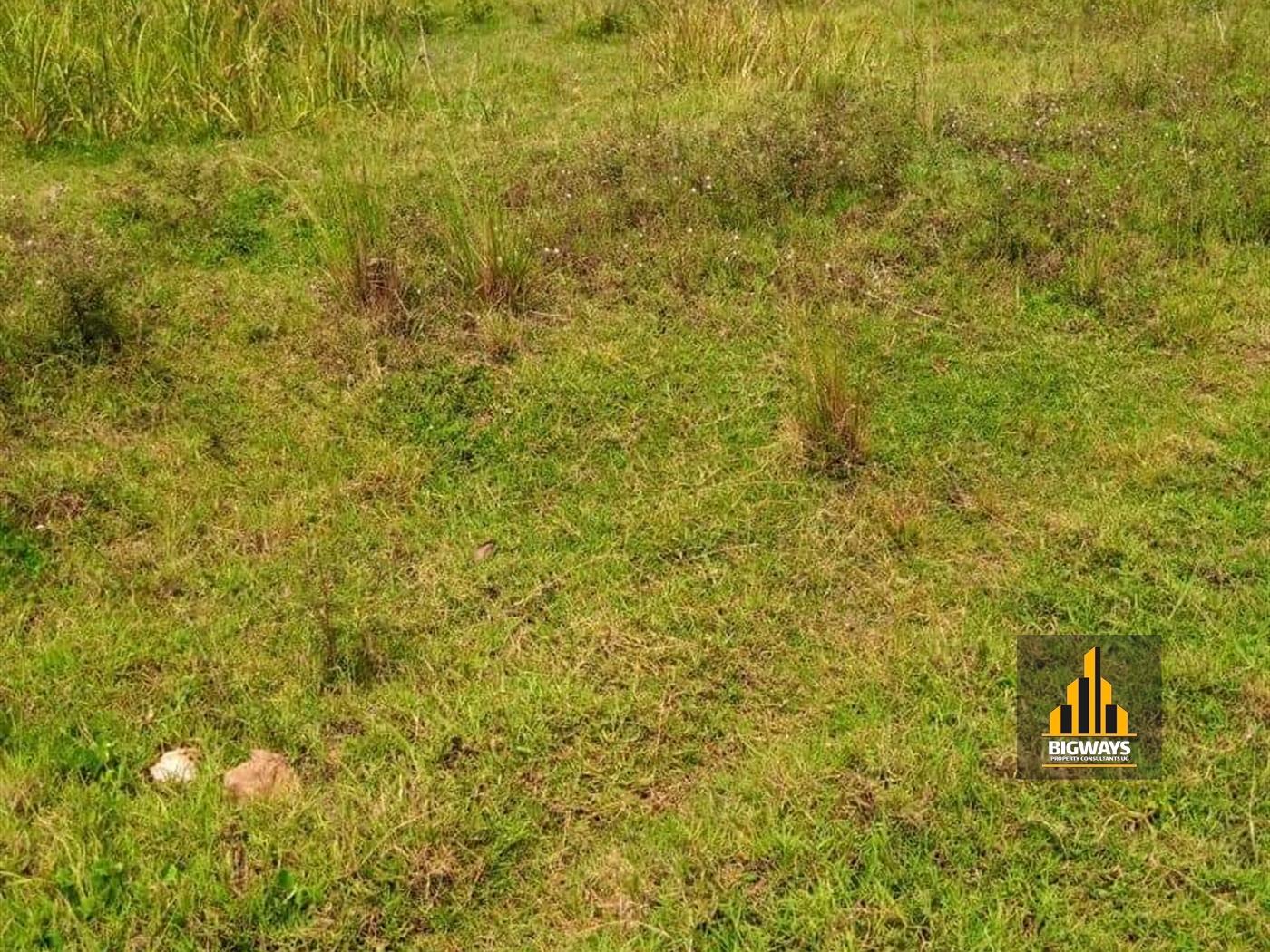 Residential Land for sale in Buzzi Wakiso