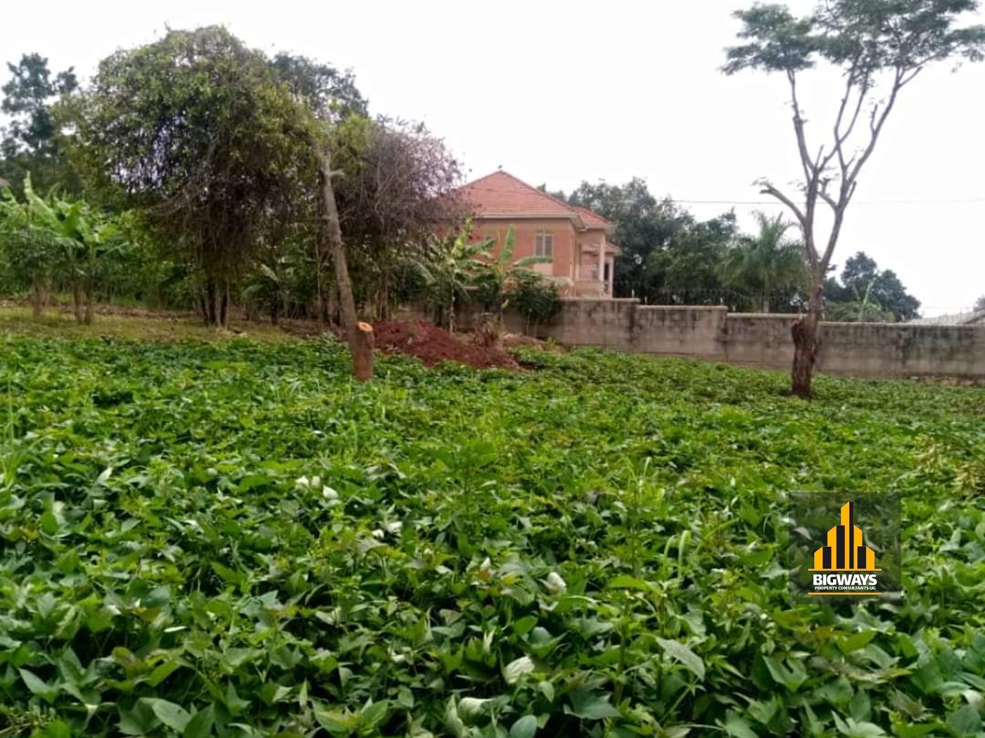 Residential Land for sale in Komamboga Kampala