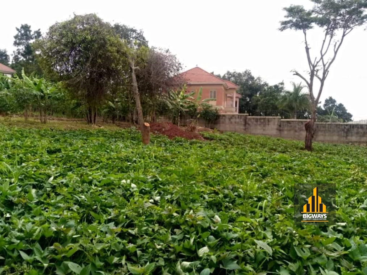 Residential Land for sale in Komamboga Kampala