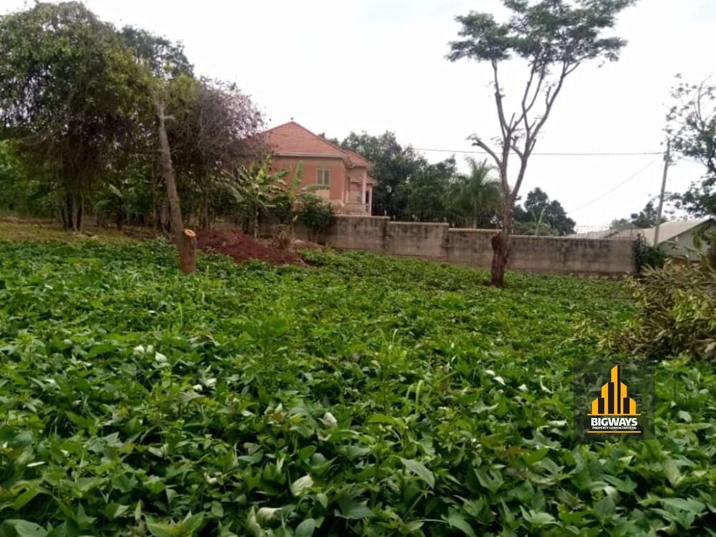 Residential Land for sale in Komamboga Kampala