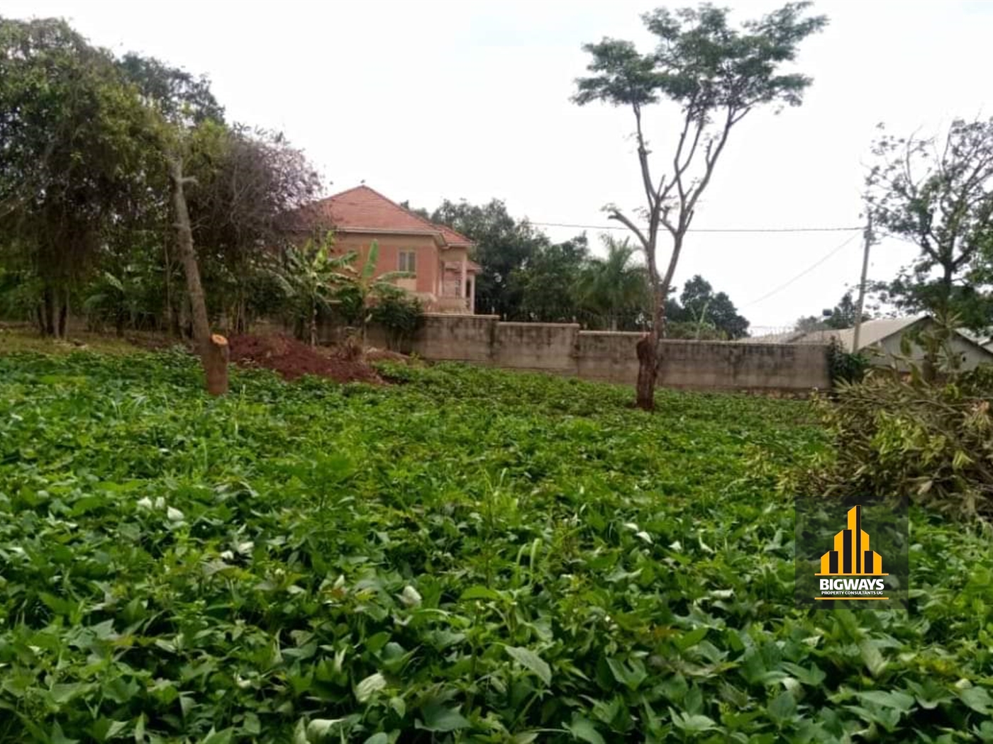 Residential Land for sale in Komamboga Kampala