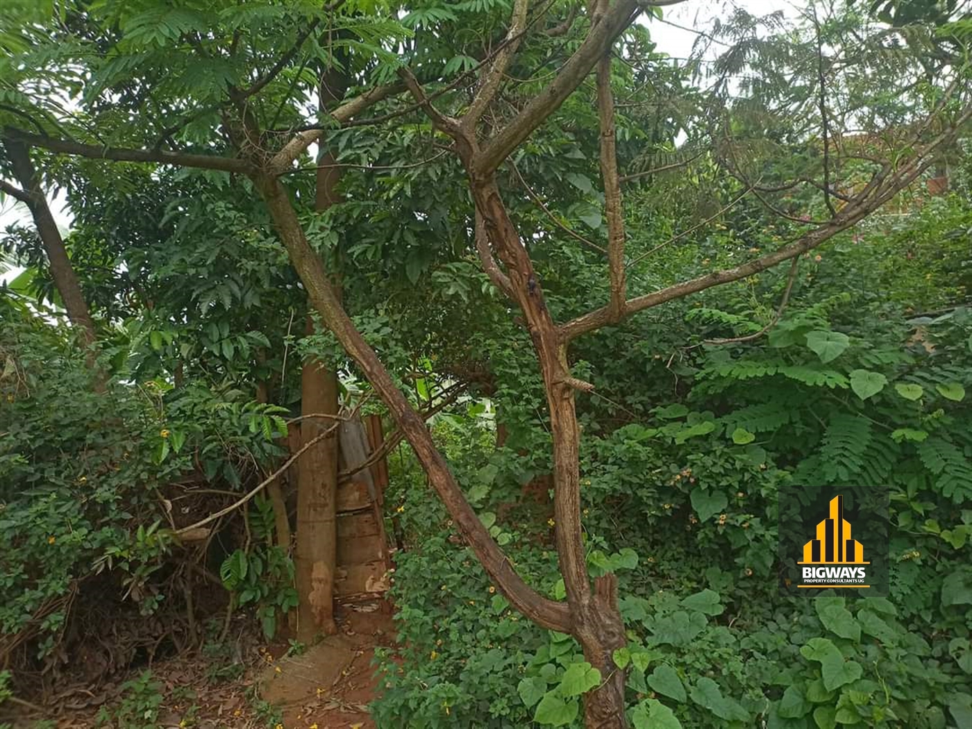 Residential Land for sale in Ntinda Kampala