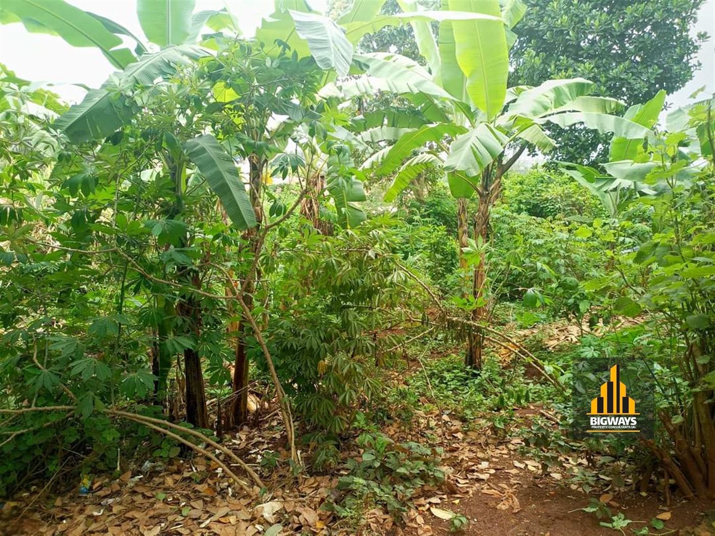 Residential Land for sale in Ntinda Kampala